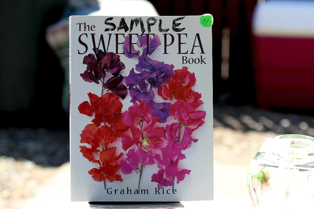 Enchanting Sweet peas!