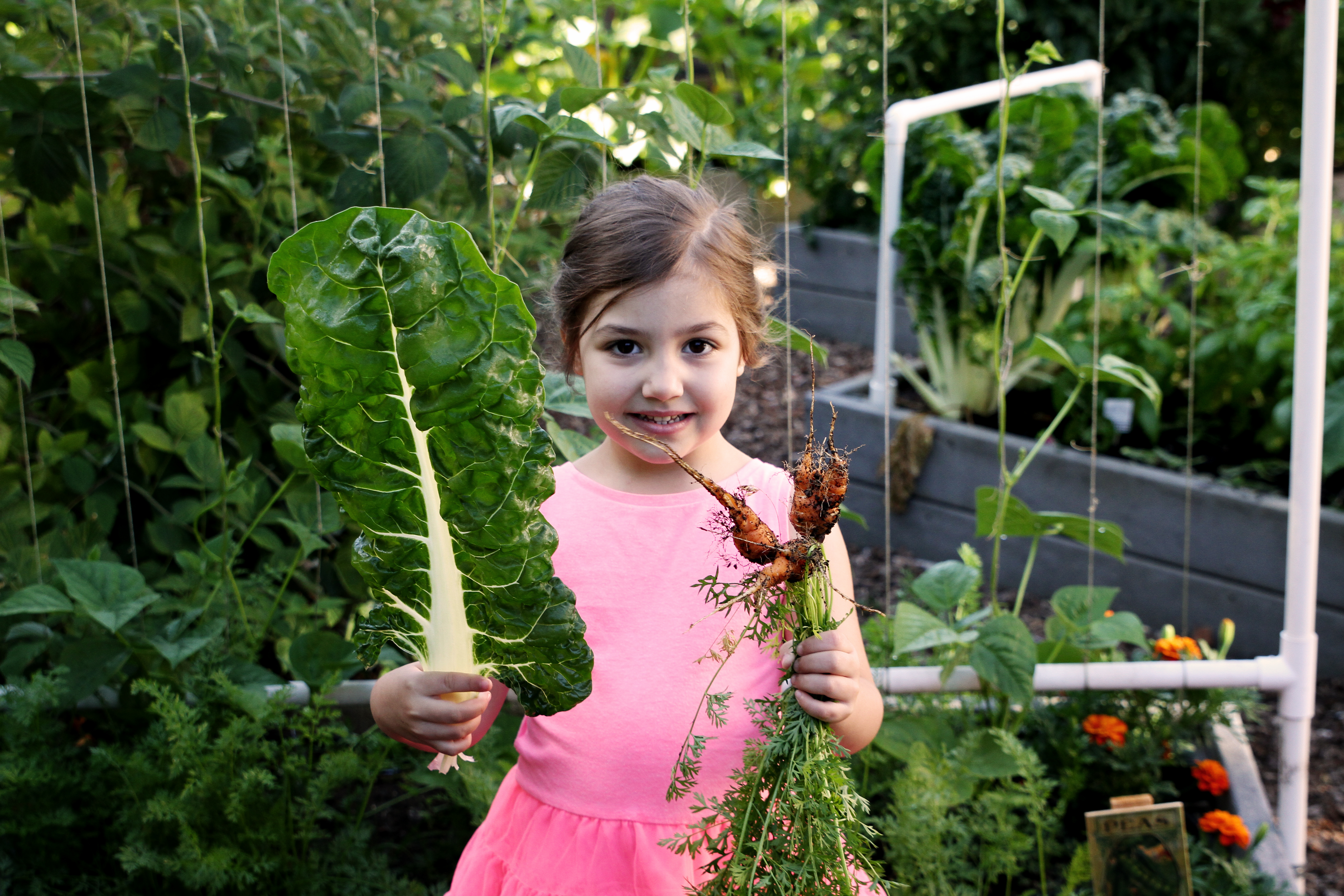 Garden Book for Kids! GROW!