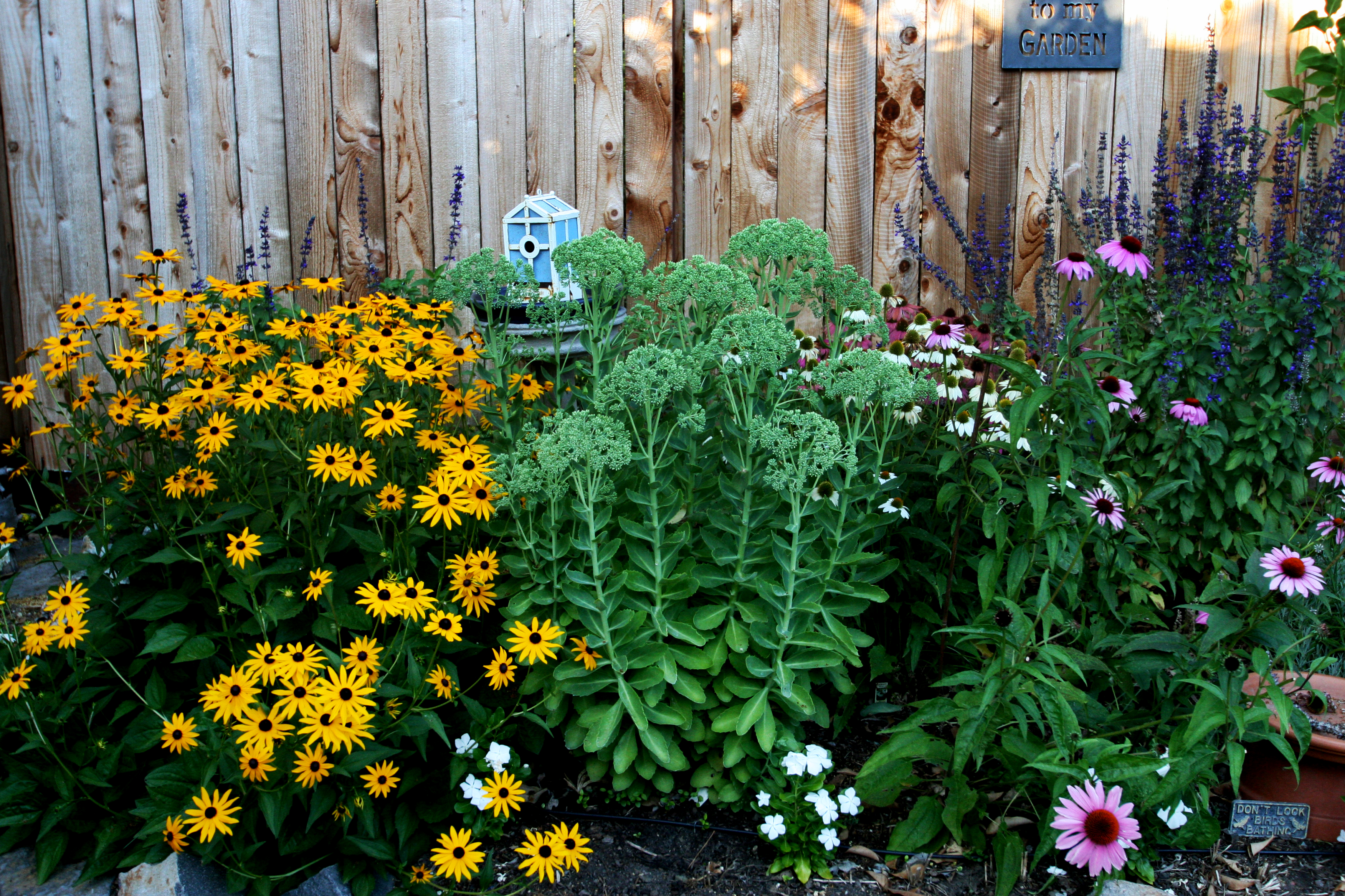 How to Plant a Perennial Flower Border