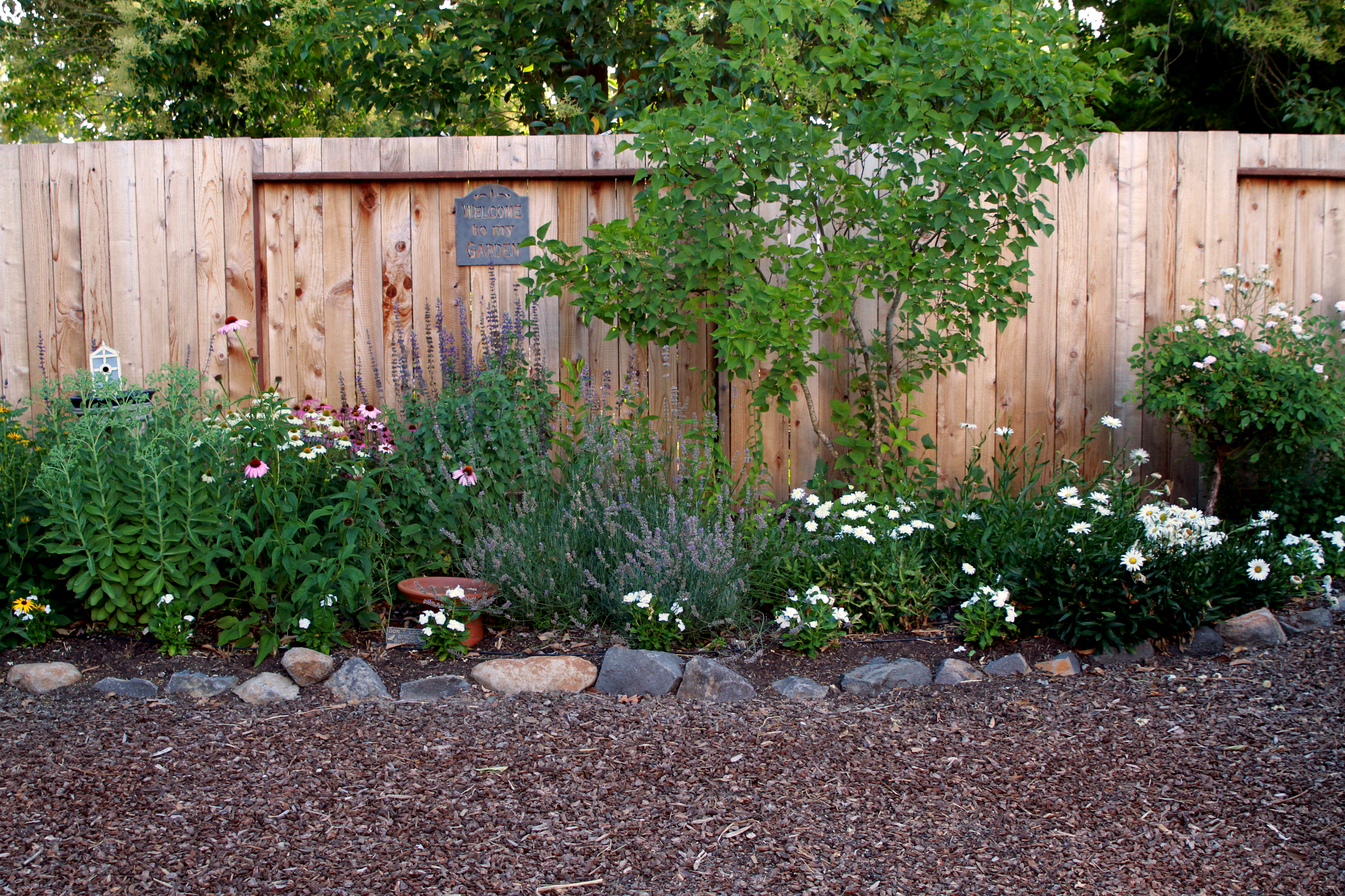 How to Plant a Perennial Flower Border