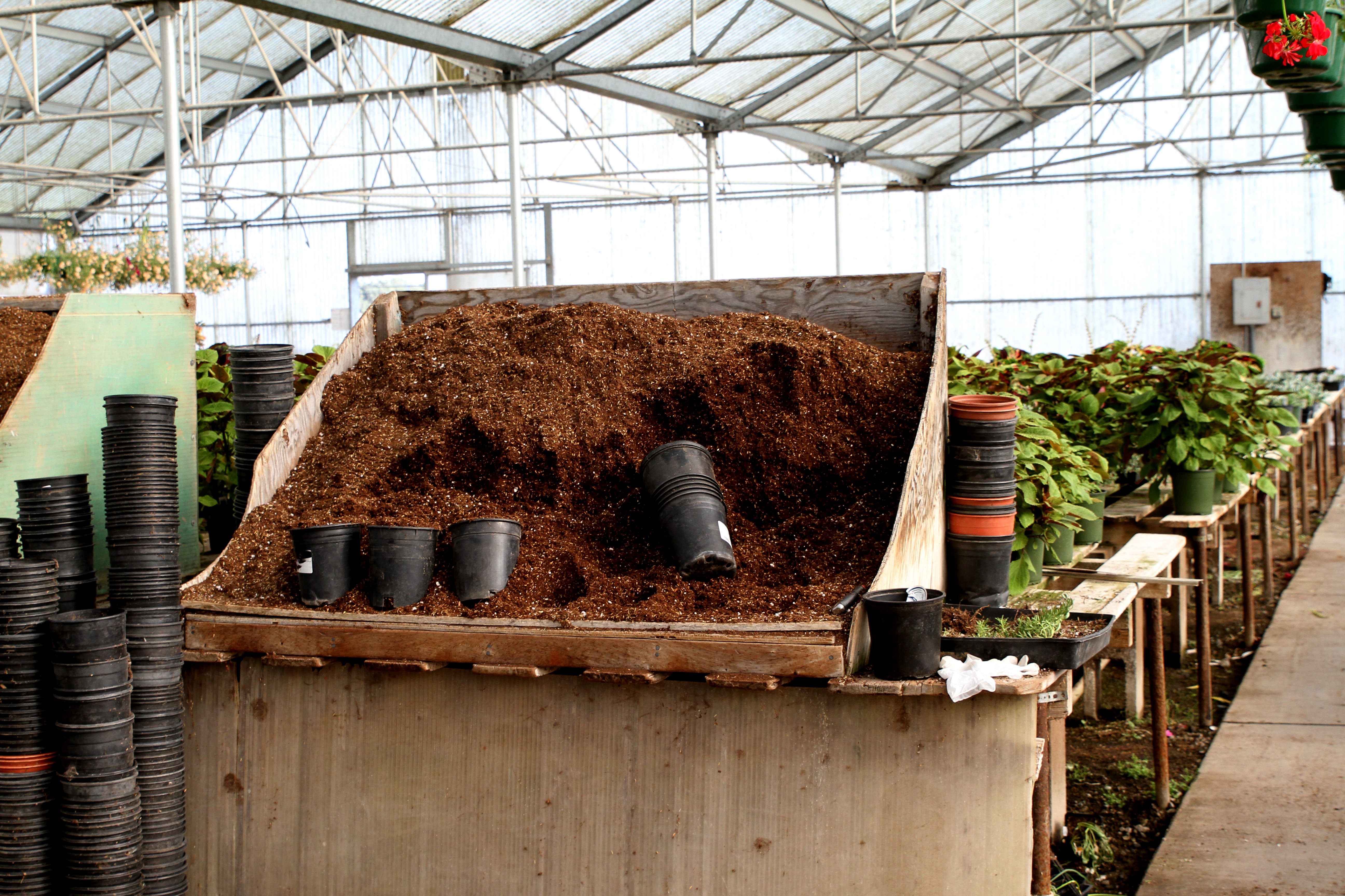 Gaddis Wholesale Nursery...Preparing Plants for Our Gardens!