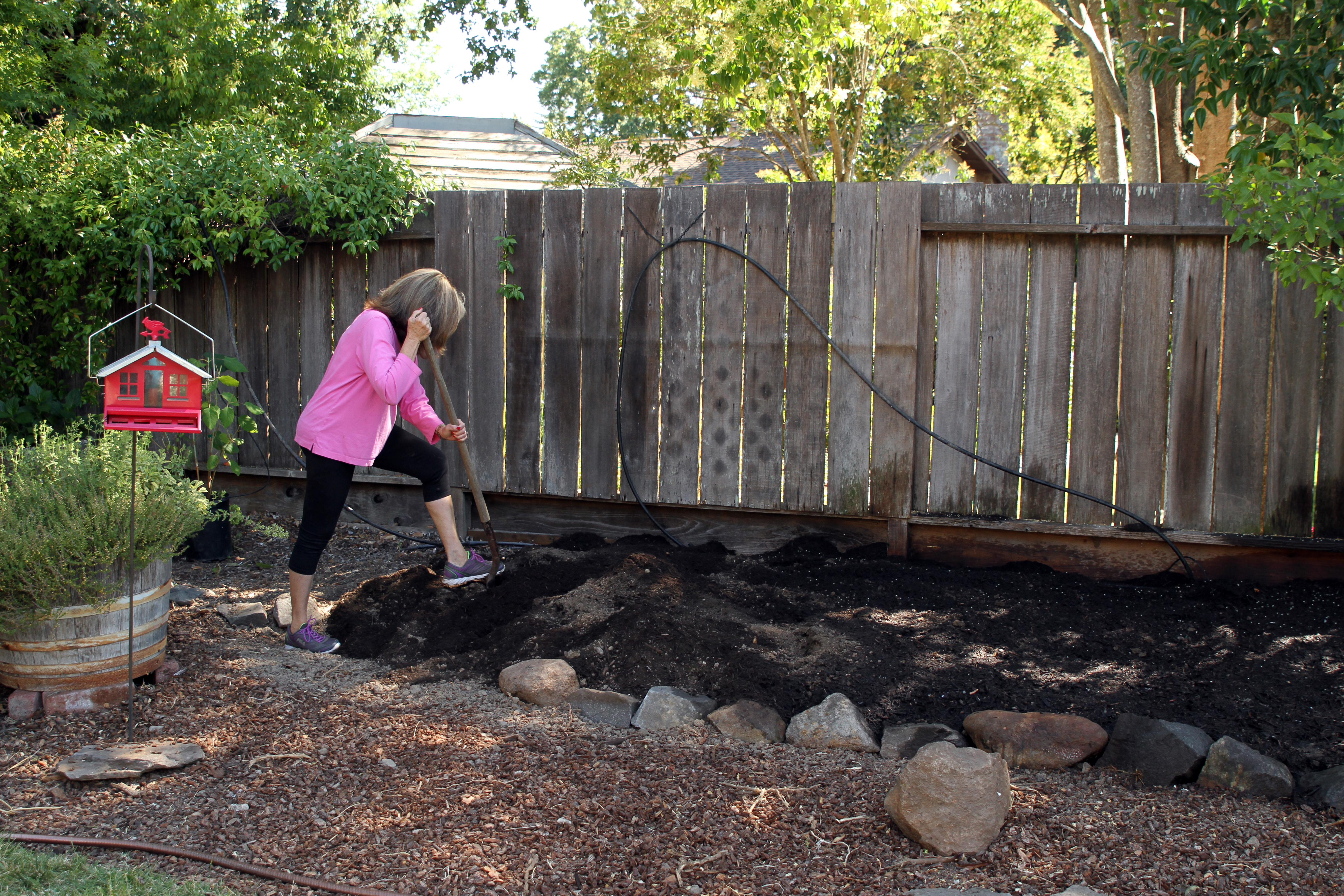 How to Plant a Perennial Flower Border