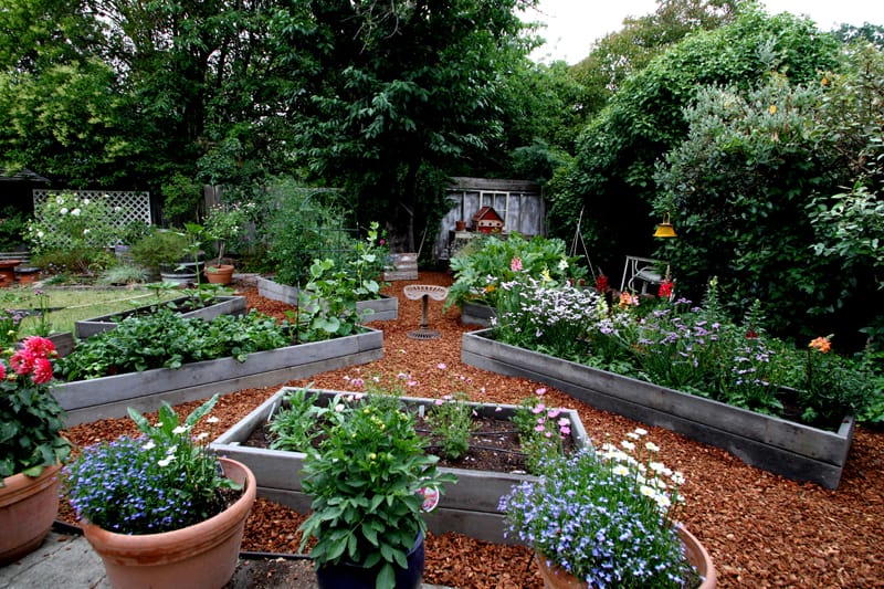 Raised Bed Gardening From the Ground Up!