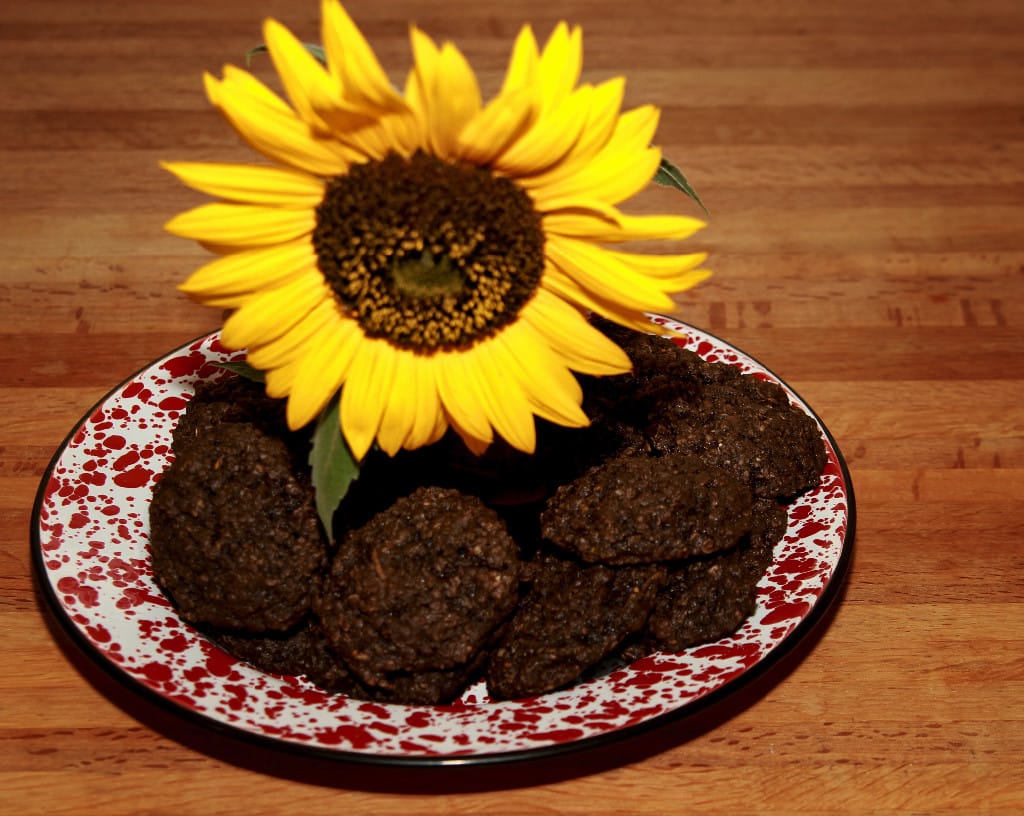 Chocolate Zucchini Cookies!