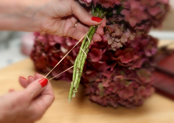 Hydrangeas - Hang to Dry for Winter Color!