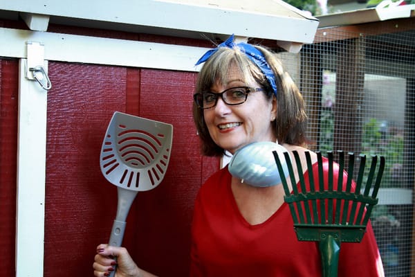 Chicken Coop Maintenance - Or... How to Scoop Poop!