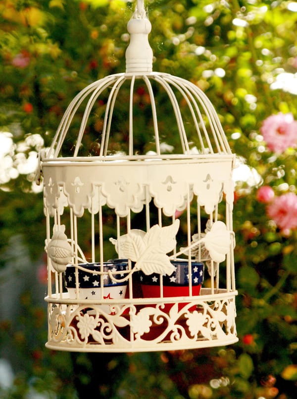 How to Use a Decorative Bird Cage!