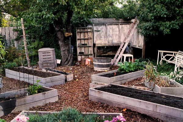 Fall Garden - Clean up Time!