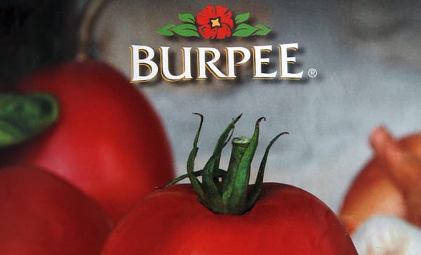 Burpee Seeds, A wealth of information!