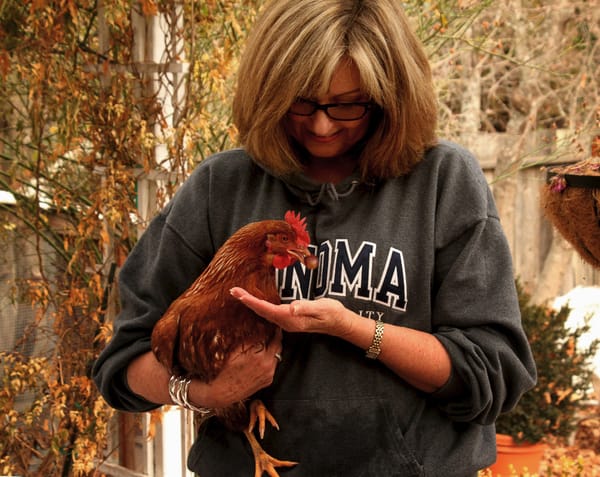 How to Bathe a Chicken....Or, Lily's First Bath!