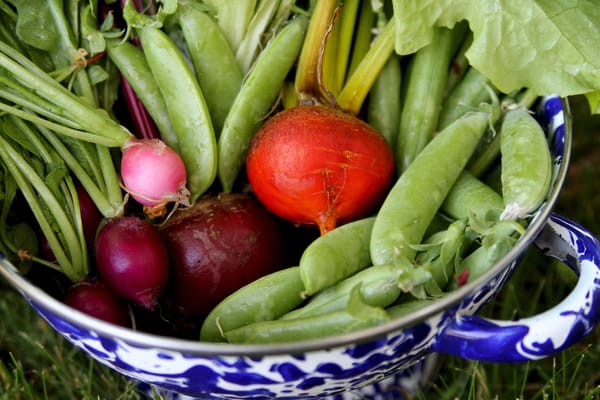 Vegetables for Raised Beds- Our Top Ten!