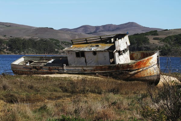 Point Reyes Day Trip