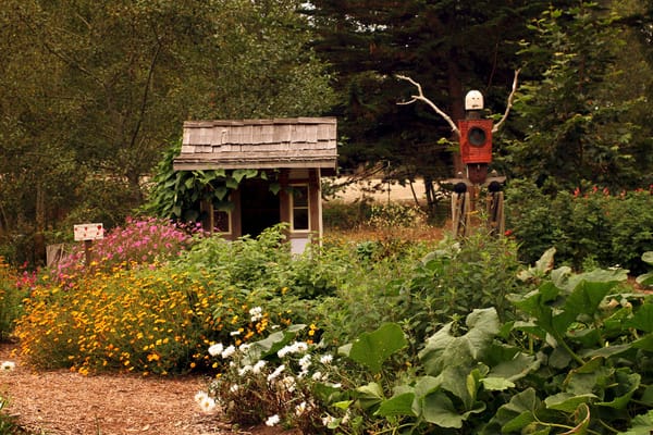 Vegetable Garden Designs...Mendocino Coast Botanical Garden